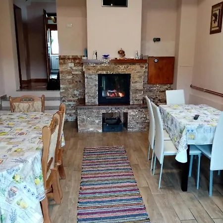Casa Dana Borşa