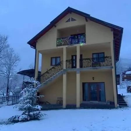 Affittacamere Casa Dana Borşa