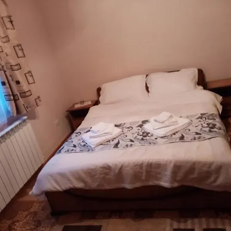 Casa Dana Borşa