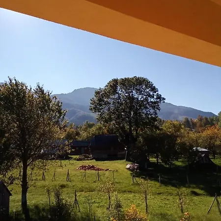 Casa Dana * Borşa