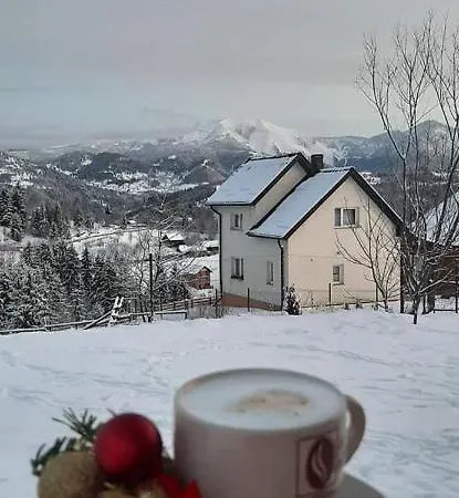 Casa Dana * Borşa